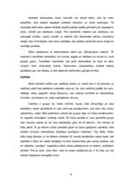 Referāts 'Varas neētisks lietojums', 9.