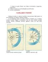 Konspekts 'Tenisa biomehāniskā analīze. Sitiens no labās', 3.