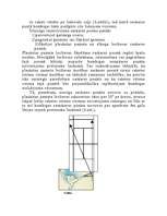 Konspekts 'Tenisa biomehāniskā analīze. Sitiens no labās', 4.