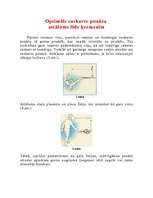 Konspekts 'Tenisa biomehāniskā analīze. Sitiens no labās', 5.