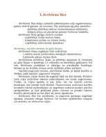 Konspekts 'Tenisa biomehāniskā analīze. Sitiens no labās', 6.