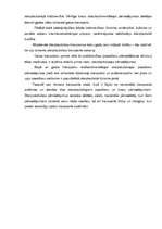 Referāts 'Transporta pārskats', 16.