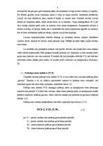 Diplomdarbs 'Inflācija, tās veidi, cēloņi un sekas', 9.