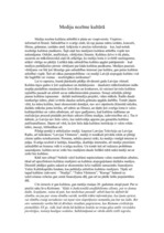 Eseja 'Mediju nozīme kultūrā', 2.