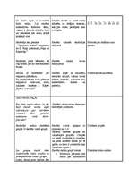 Konspekts 'Integrēta nodarbība 4.klasei', 3.