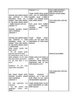 Konspekts 'Integrēta nodarbība 4.klasei', 9.