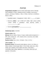 Konspekts 'Integrēta nodarbība 4.klasei', 19.