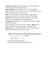 Konspekts 'Integrēta nodarbība 4.klasei', 20.