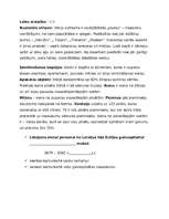 Konspekts 'Integrēta nodarbība 4.klasei', 22.