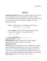 Konspekts 'Integrēta nodarbība 4.klasei', 25.