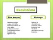 Prezentācija 'Ekosistēma', 3.