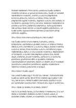 Paraugs 'Intervija ar šuvēju', 3.