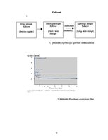 Referāts 'Atmiņas procesi', 12.