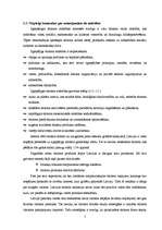 Referāts 'Tūrisma nozare', 5.