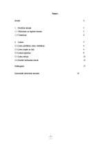 Referāts 'Sociālais statuss un lomas', 2.