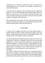 Referāts 'Sociālais statuss un lomas', 9.