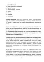 Referāts 'Sociālais statuss un lomas', 13.