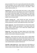 Referāts 'Sociālais statuss un lomas', 14.