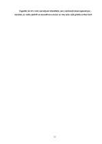 Referāts 'Bibliotēku sadarbība elektronisko resursu bibliogrāfiskajā kontrolē', 11.