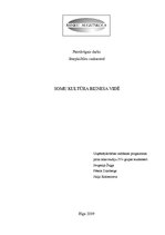 Referāts 'Somu kultūra biznesa vidē', 1.