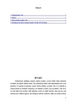 Referāts 'Somu kultūra biznesa vidē', 2.