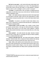 Referāts 'Somu kultūra biznesa vidē', 6.