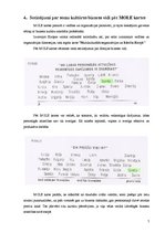 Referāts 'Somu kultūra biznesa vidē', 7.