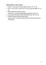 Referāts 'Somu kultūra biznesa vidē', 11.