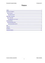 Referāts 'Internets mūsdienu sabiedrībā', 2.