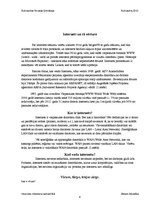 Referāts 'Internets mūsdienu sabiedrībā', 4.