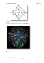 Referāts 'Internets mūsdienu sabiedrībā', 10.