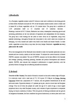 Referāts 'Country and Sector Research Ireland', 2.