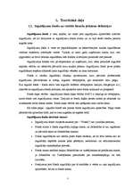 Referāts 'Latvijas komercbanku piedāvāto ieguldījumu fondu salīdzinošā analīze', 5.