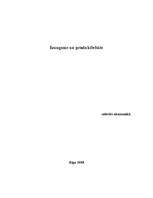 Referāts 'Izaugsme un produktivitāte 2008.gadā', 7.