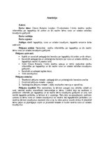 Referāts 'Informētība par logopēdiju kā zinātni un tās nozīmi valodas un runas attīstības ', 2.