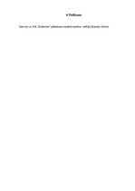 Prakses atskaite 'Prakses atskaite par noliktavu saimniecību un krājumu vadīšanu uzņēmumā SIA "Bal', 25.