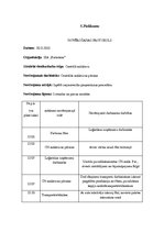 Prakses atskaite 'Prakses atskaite par noliktavu saimniecību un krājumu vadīšanu uzņēmumā SIA "Bal', 29.