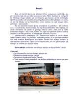 Referāts 'Auto tūnings', 2.