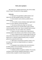 Konspekts 'Rīcības plāns negadījumā', 1.