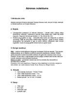 Referāts 'Abrenes nolaidums', 1.