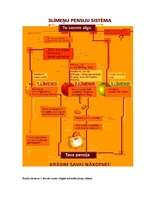 Referāts 'Pensiju reforma', 3.