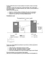 Referāts 'Pensiju reforma', 5.