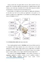 Diplomdarbs 'Spēļu elementi mārketingā Baltijas tirgū', 21.