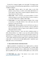 Diplomdarbs 'Spēļu elementi mārketingā Baltijas tirgū', 24.