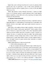 Diplomdarbs 'Spēļu elementi mārketingā Baltijas tirgū', 36.