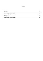 Referāts 'Ārējās tirdzniecības politika', 2.