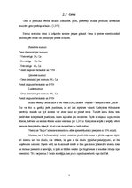 Referāts 'SIA "Gaisma" viesnīcas "Raijo" mārketinga darbības aspekti', 7.