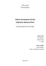 Referāts 'Ikdienā izmantojamo bateriju kalpošanas ilguma pētīšana', 1.