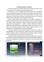 Referāts 'Ikdienā izmantojamo bateriju kalpošanas ilguma pētīšana', 8.