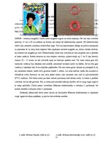 Referāts 'Ikdienā izmantojamo bateriju kalpošanas ilguma pētīšana', 13.